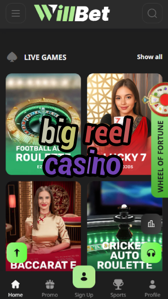 Big Reel Casino - Best Reel Slot Games-www.bdqngd.com